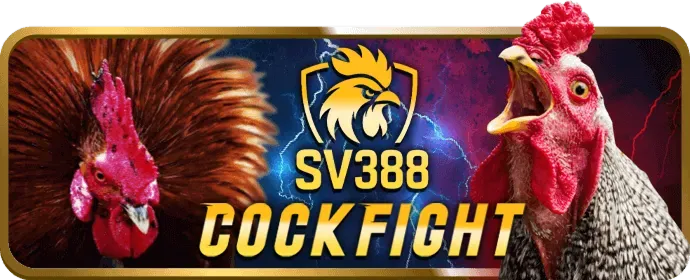 Gửi tiền và chọn khuyến mãi TK88BET